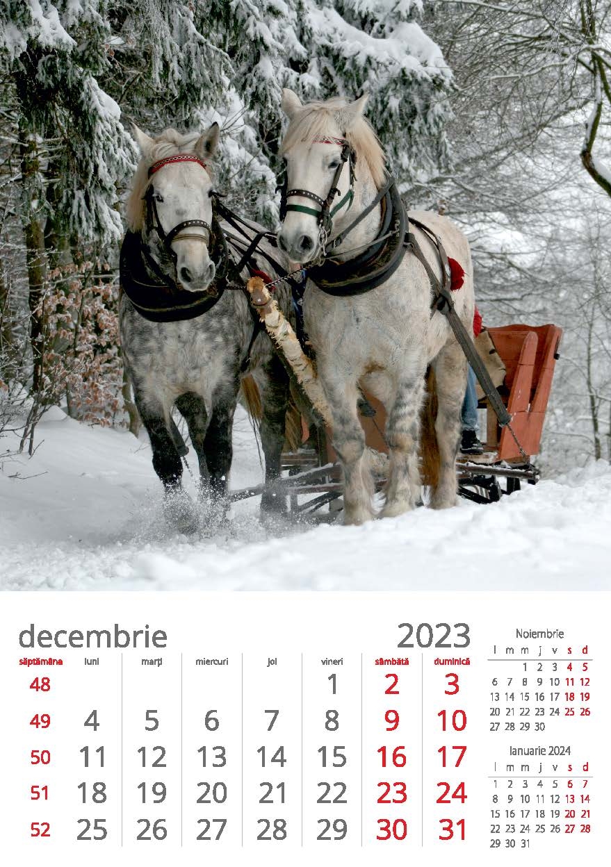 Calendar de perete Peisaje Anotimpuri 2024 Darko Print