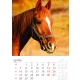 Calendar perete cai 2025