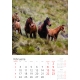 Calendar perete cai 2025