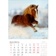 Calendar perete cai 2025