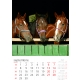 Calendar perete cai 2025