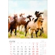 Calendar perete cai 2025