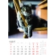 Calendar perete pisici 2025