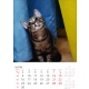 Calendar perete pisici 2025