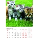 Calendar perete pisici 2025