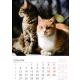 Calendar perete pisici 2025