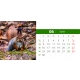 Calendar de birou cu animale salbatice 2025