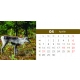 Calendar de birou cu animale salbatice 2025