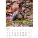 Calendar de perete cu imagini animale salbatice 2025