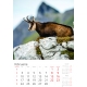 Calendar de perete cu imagini animale salbatice 2025