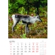 Calendar de perete cu imagini animale salbatice 2025