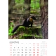 Calendar de perete cu imagini animale salbatice 2025